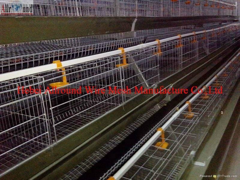hot galvaniz poultry cage  in  china  3