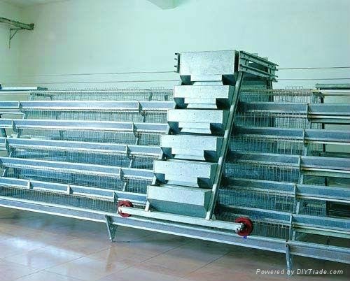 hot galvaniz poultry cage  in  china  2
