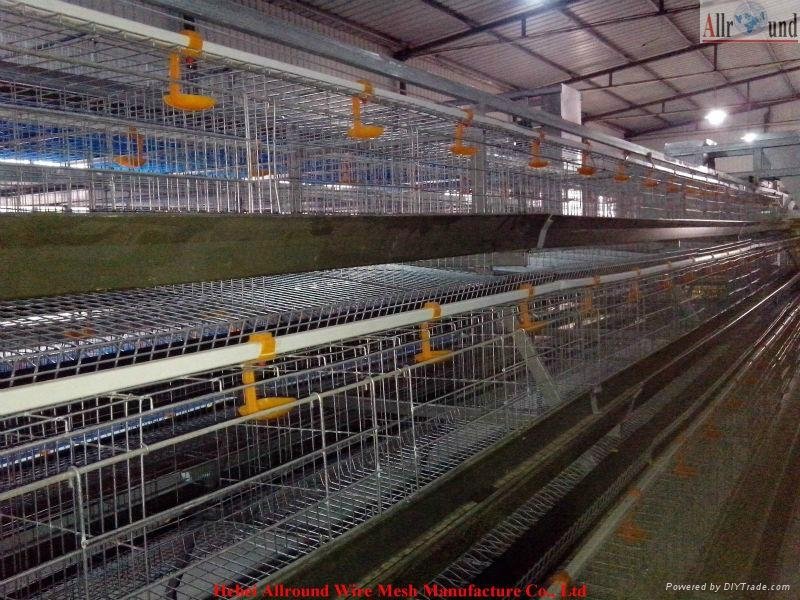 hot galvaniz poultry cage  in  china  4