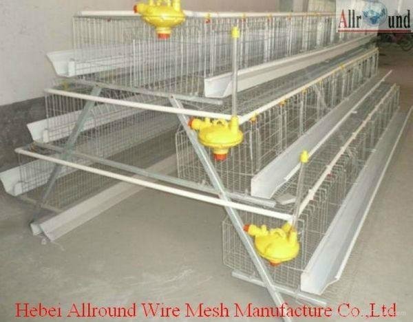 hot galvaniz poultry cage  in  china  5