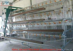 Automaitc poultry farming cage-H type broiler cage  