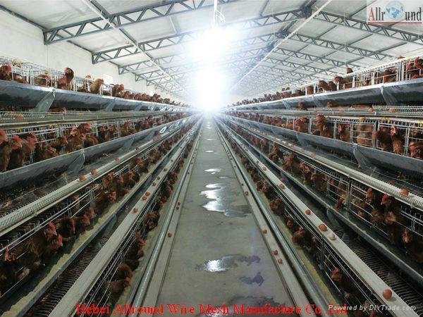 hot galvaniz poultry cage  in  china 