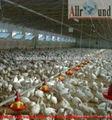 Complete controlled poultry farm equipment  