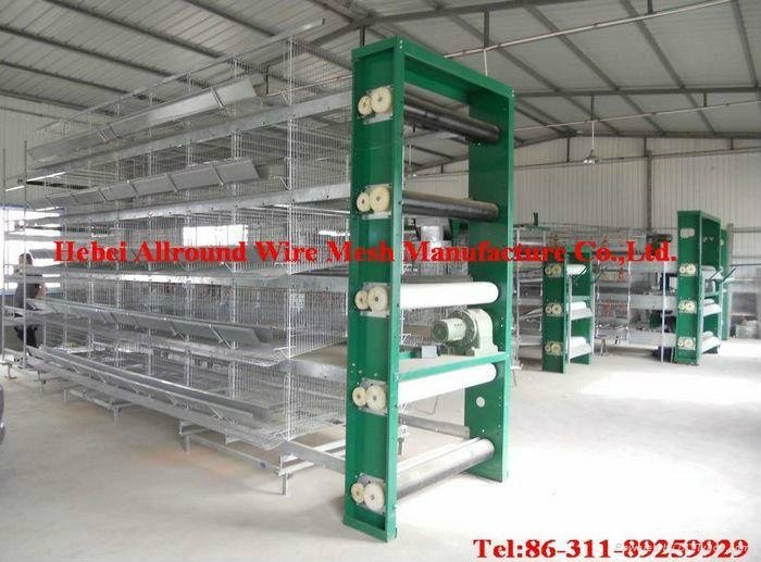 Best quality chicken cage for sale   5