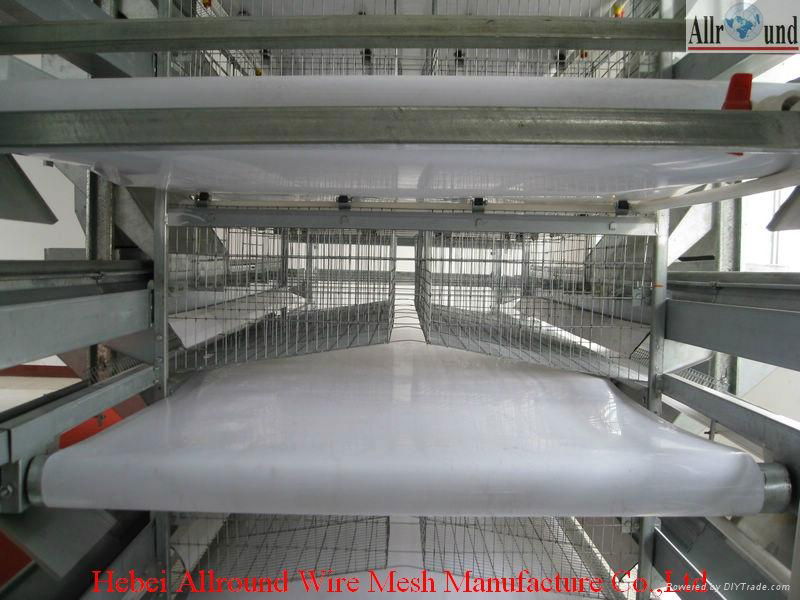 PP belt for poultry manure removing