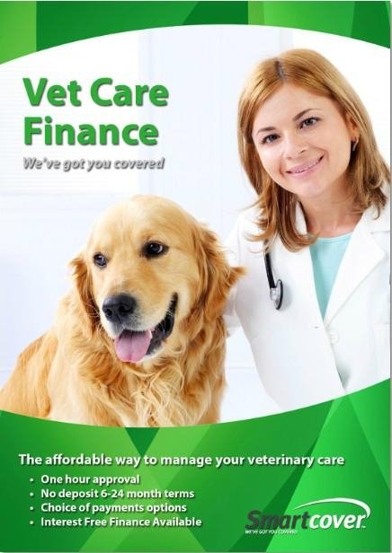 pet care poster promotion flyer print