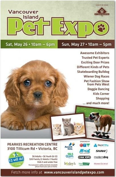 pet care poster promotion flyer print 2