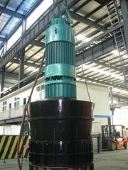 Electric Submersible pump with planetary gear