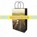 Art Paper Shopping Bags 2