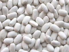 White Kidney Beans - New harvest