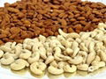 Raw and Salted cashew Nuts 1