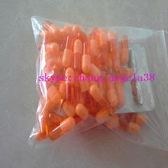 gelatin empty capsule