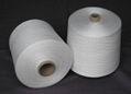 Close Virgin Polyester Yarn 1