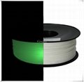 Glow in the dark filament for 3D Printer