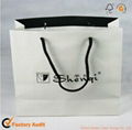 luxury art paper bag 1