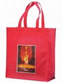 Foldable non woven bag  1