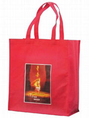 Foldable non woven bag