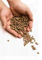 High Quality Premium Grade and all brands of Wood Pellets for sale 1