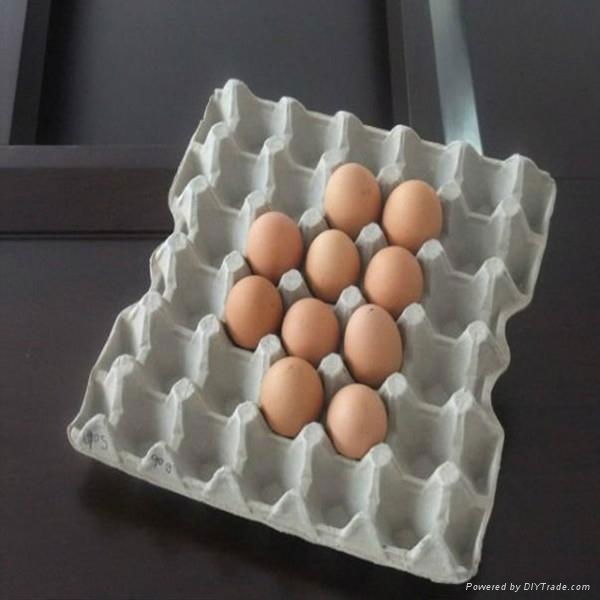 paper egg tray making machine with high quality and competitive price 3