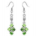 fashion earrings 1