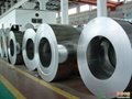 stainless steel coil/sheet 2