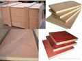 Okoume Plywood