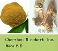 Maca Extract