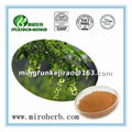 Top Quality Cyclocarya paliurus P.E