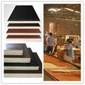 GIGA-17mm brown WBP commercial plywood China manufacture 2