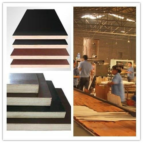 GIGA-17mm brown WBP commercial plywood China manufacture 2