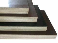GIGA-17mm brown WBP commercial plywood China manufacture 5