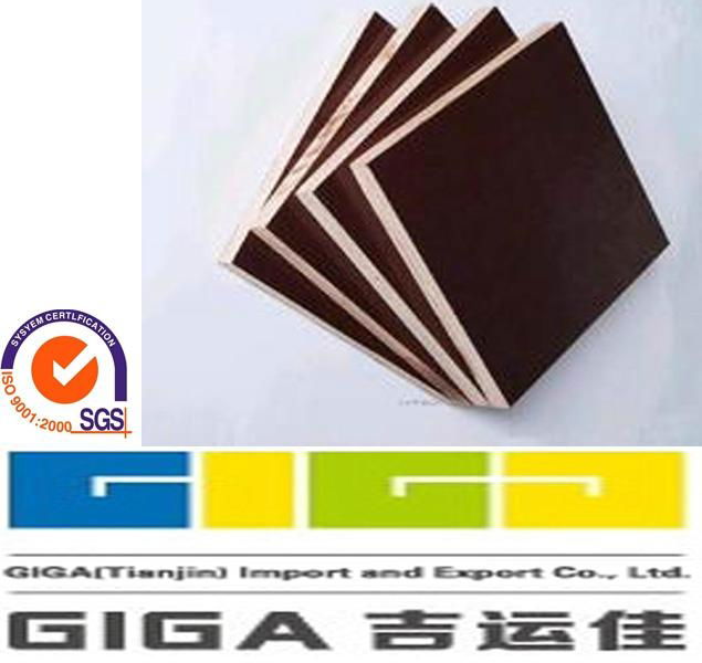 GIGA-12mm WBP black waterproof plywood China manufacture 2