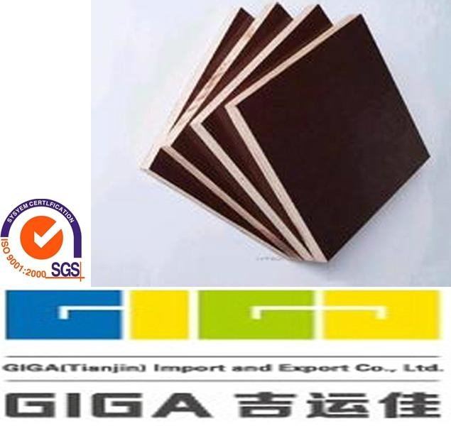 GIGA-18mm black WBP waterproof plywood board China manufacture 5