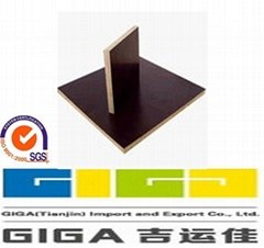 GIGA-18mm melamine black waterproof commercial plywood