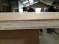 Plywood product 1