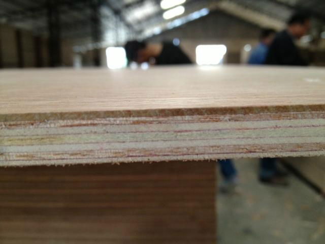 Plywood product