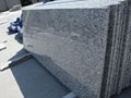 Natural Granite  top