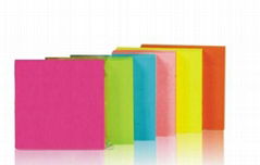 Standard 100 Sheets Neon Sticky Note