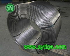 Calcium Silicon Cored Wire