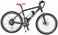 Mountain Electric Bicycle 1