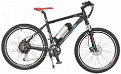 Mountain Electric Bicycle