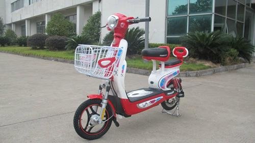 Mini Scooter Of Portable Battery (TDT29073Z) 2