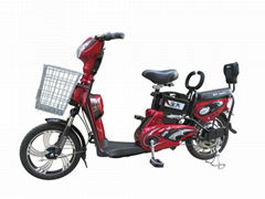 Cheap Electric Cycle (TDR1117Z)