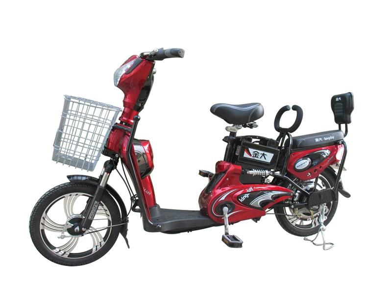 Cheap Electric Cycle (TDR1117Z)