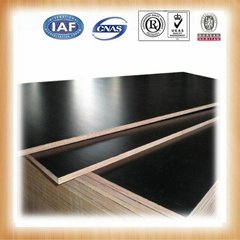 giga black construction plywood/15mm veneer plywood