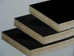 giga black veneer core hardwood/poplar plywood price 