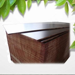 2014 best selling 18mm marine plywood