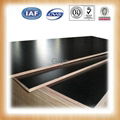 giga-construction material supplier of plywood 2