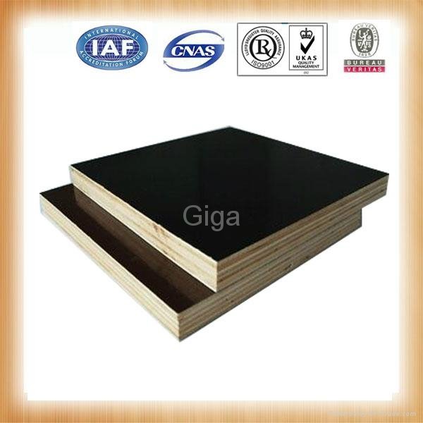 giga-construction material supplier of plywood 4