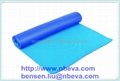 Blue Exercise Mat (EVA-S-1002) 3